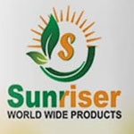 J T Export and Import