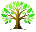 agartala/proven1-global-7111102 logo