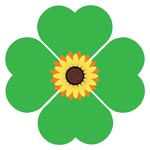 Namita Organic Foods