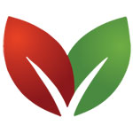 Value Ingredients Private Limited