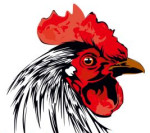erode/sri-sakthi-nattukolli-chicken-shop-7663884 logo