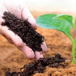 SRI MANIKANTA VERMICOMPOST