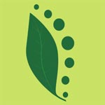 Yoga Treatment Services