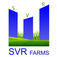 SVR Group