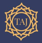 hooghly/tritisha-art-jewellery-haripal-hooghly-9847812 logo