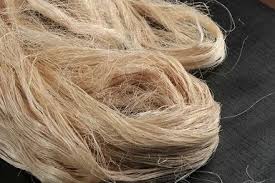 Intsia Pharma Private Limited