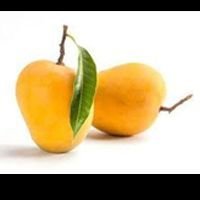 Fresh Alphonso Mango