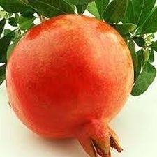 Fresh Bhagwa Pomegranate