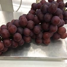 Fresh Flame Grapes