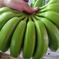 Fresh G-9 Banana