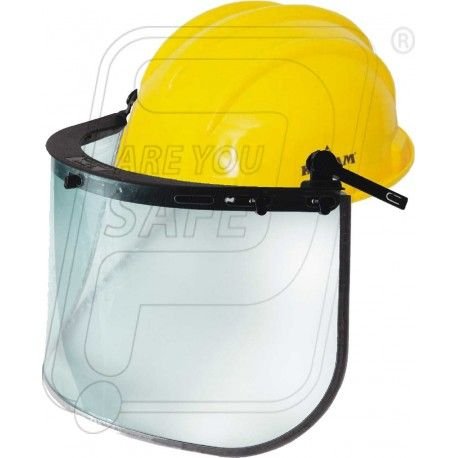 Face Shield ES 51 With PN 521 Helmet Karam