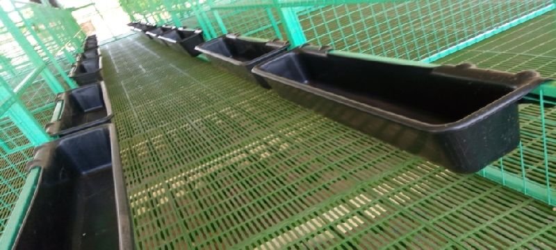 PP Floor Elevated Goat Shed Construction Services 06