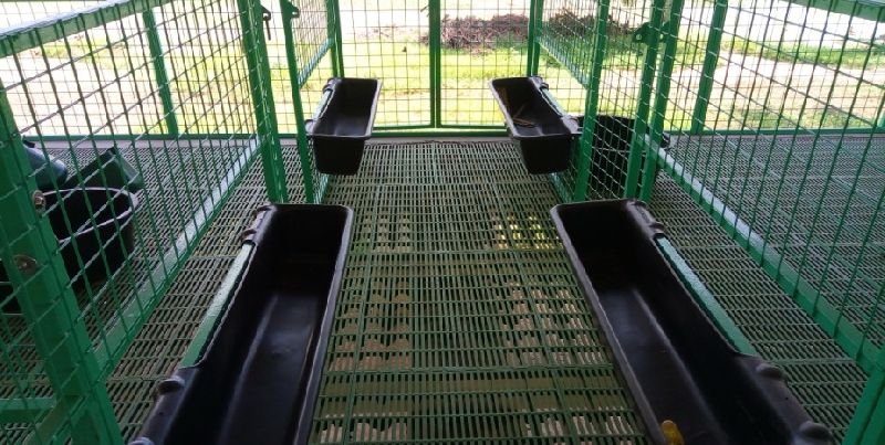 PP Floor Elevated Goat Shed Construction Services 08