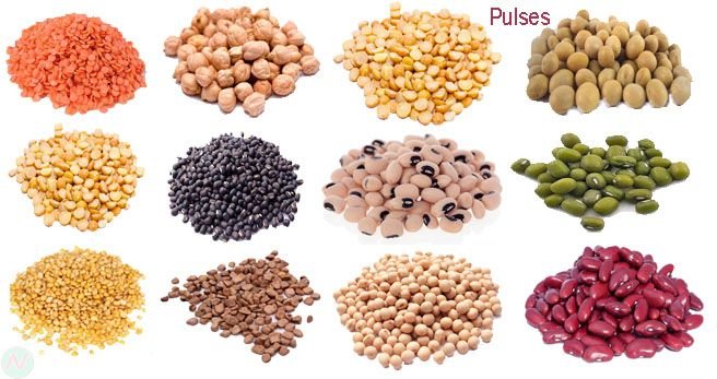 Pulses
