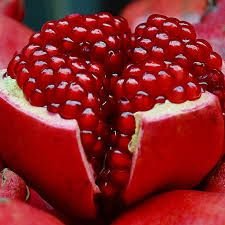 Fresh Pomegranate 04