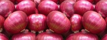 Fresh Red Onion 02