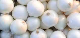 Fresh White Onion 02