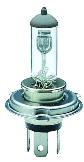 H4 Halogen Bulb 05