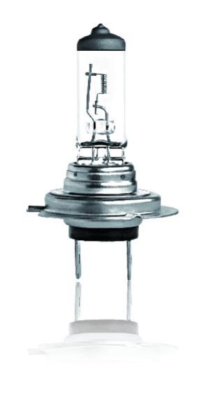 H7 Halogen Bulb 05