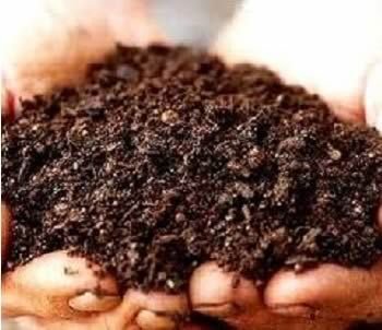 Bio Organic Fertilizer 01