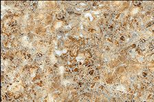 101 D - Home Wall Tiles