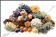 127-Kit 6- Printed Kitchen Tiles