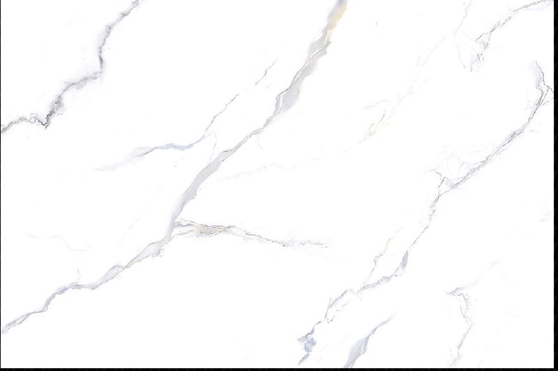 5009 L -  Digital Kitchen Tiles