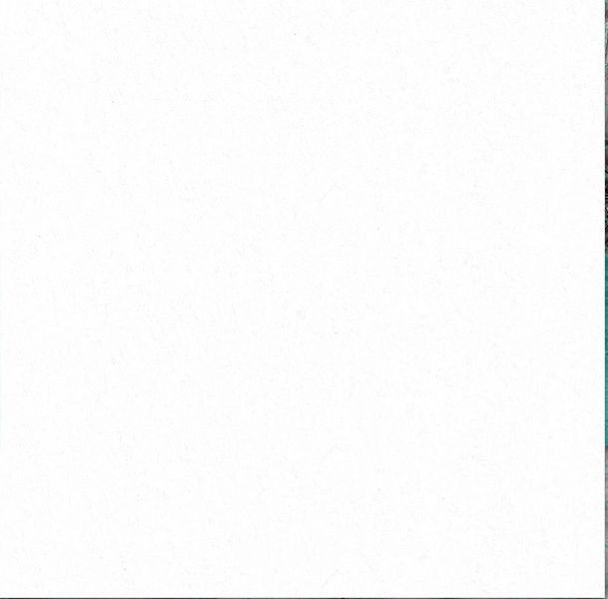 Vitrified Floor Tile 02