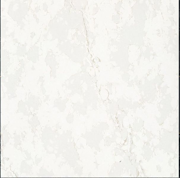 Vitrified Floor Tile 13