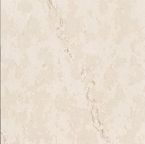 Vitrified Floor Tile 14