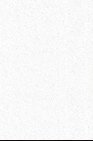 Vitrified Floor Tile 17