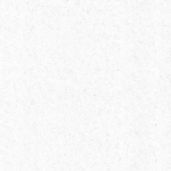 Vitrified Floor Tile 29