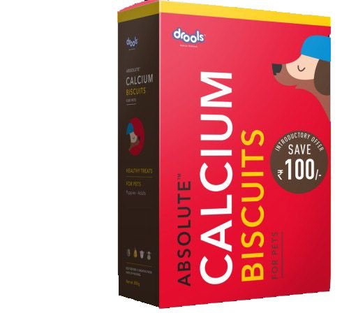 Calcium Biscuits