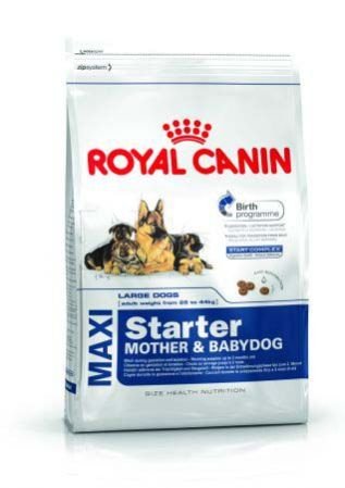 ROYAL CANIN MAXI STARTER 4 KG