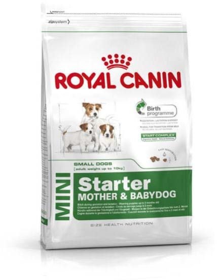 ROYAL CANIN MINI STARTER 1KG