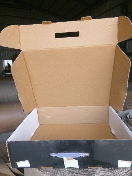 Laminated Corrugated Box 06