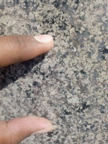 Desert Green Granite Slabs 04