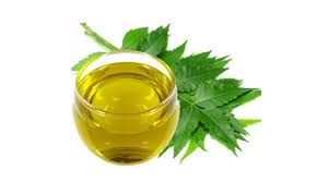 Neem Oil 01