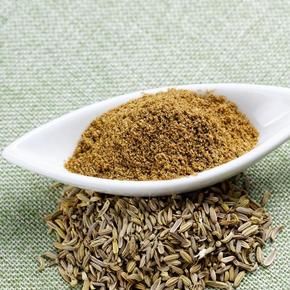 Fennel Powder 02