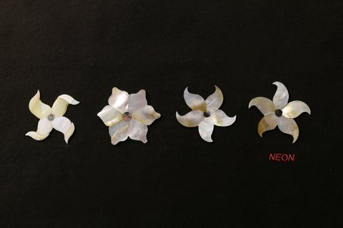Mother Of Pearl Flowers 01