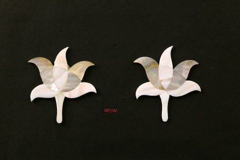 Mother Of Pearl Flowers 03