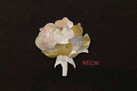 Mother Of Pearl Flowers 07