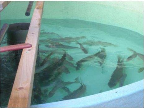 Food Grade Epoxy Paint 03