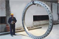 Large Sized Flange