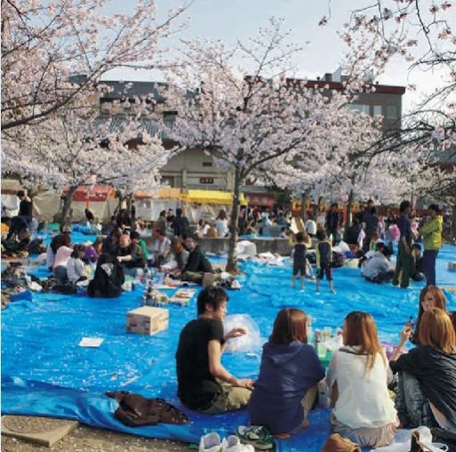 Multilayer Cross Laminated Film 06