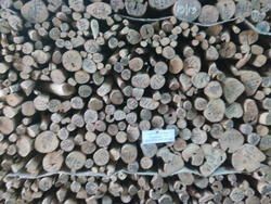 Sandalwood Logs 01