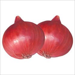 Fresh Red Onions 01