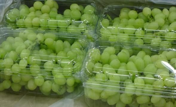 Fresh Grapes
