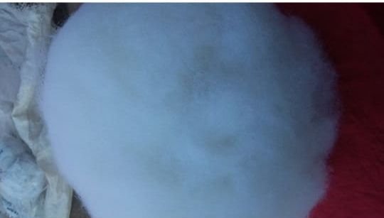 Garnated Polyster Hollow Fiber