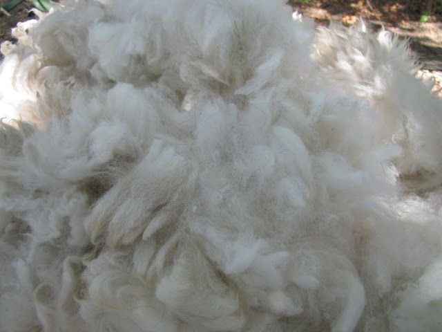Soft White Fiber 01